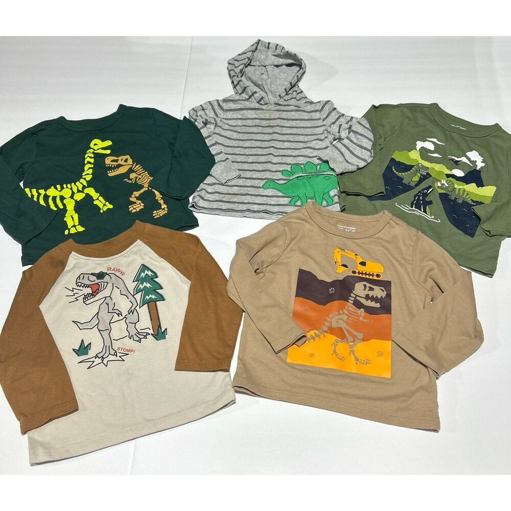 Baby Boy 18 Months Dinosaur Shirt Bundle - 5-Piece Set